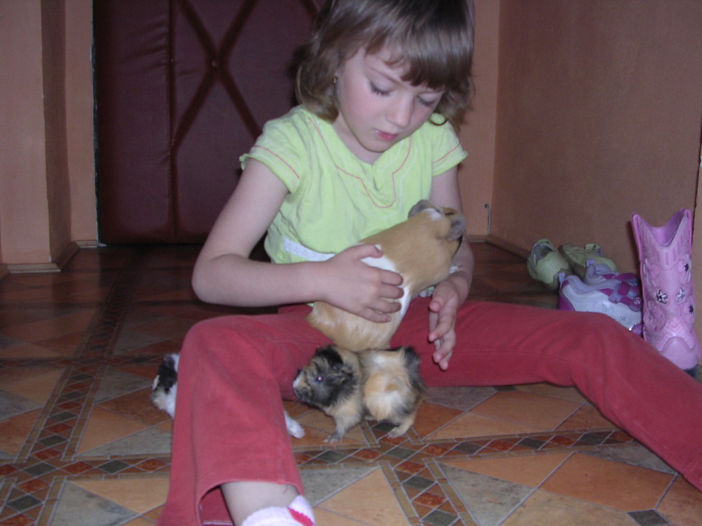 morcatka_019.jpg